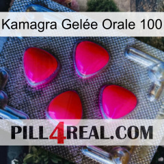 Kamagra Gelée Orale 100 13